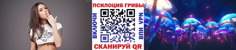 Галлюциногенные грибы Psilocybe  Усмань 